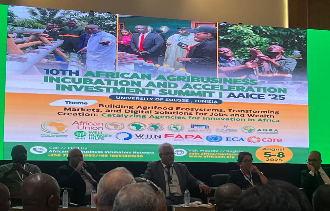 WhatsApp Image 2025-08-05 at 12.39.05