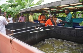 APDC Hosts Raw Materials Research and Development Council of Nigeria to Advance Agripreneurial Adoption for Youth's & Women