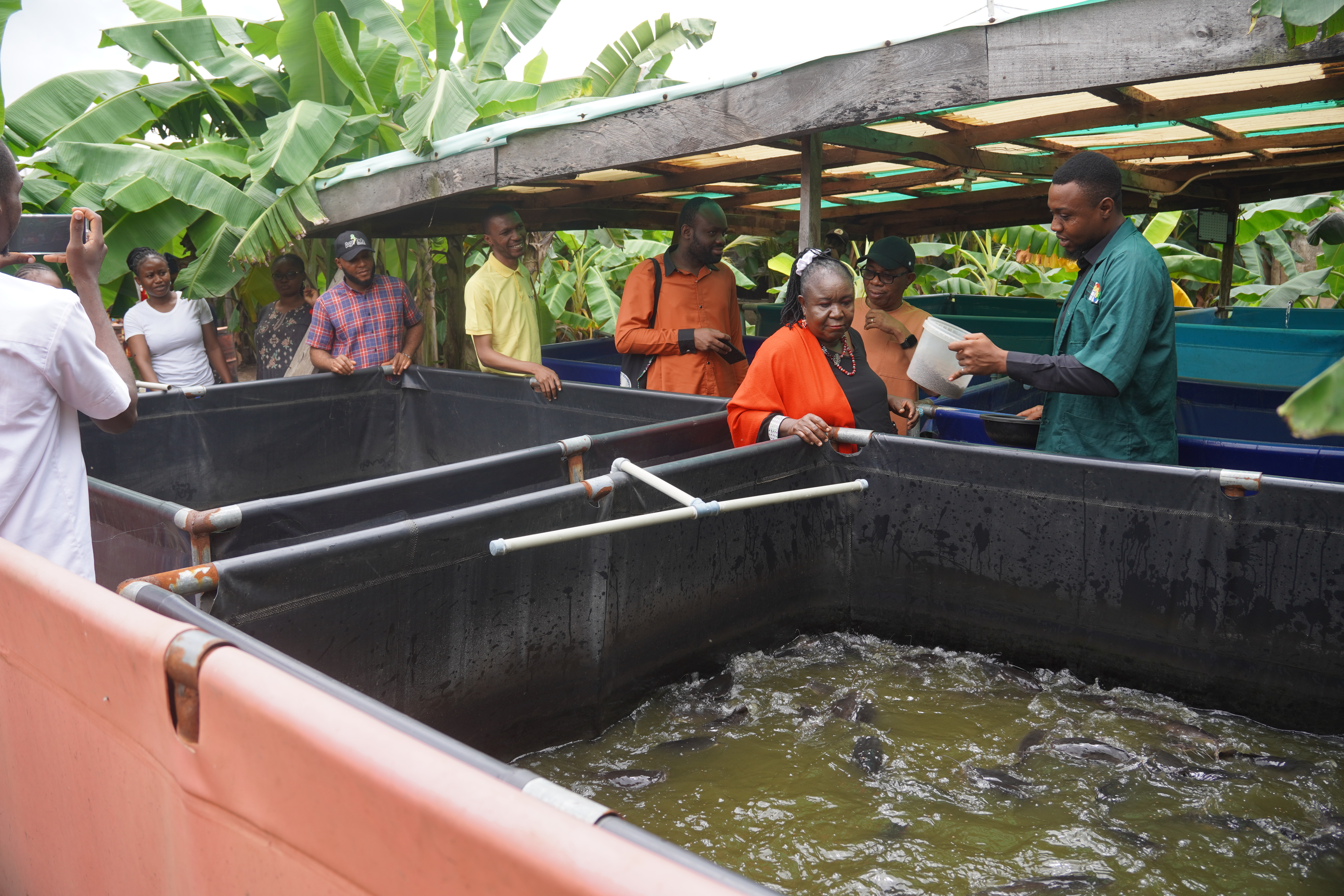 APDC Hosts Raw Materials Research and Development Council of Nigeria to Advance Agripreneurial Adoption for Youth's & Women