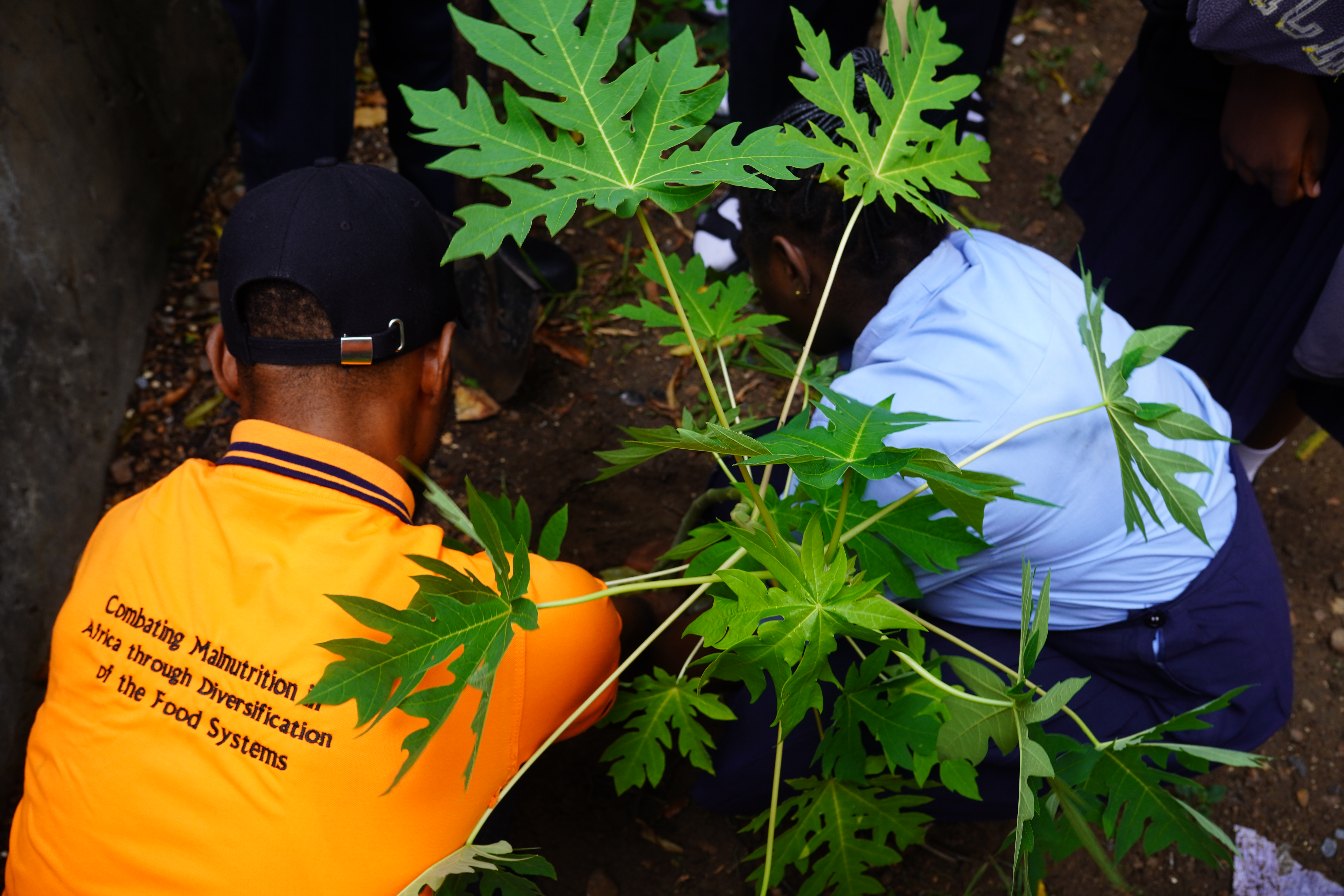 School Garden planting exercise led by Otso Philip, Mushroom Entreprise Manager, APDC.
